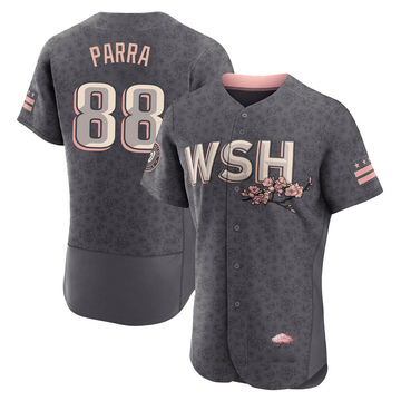 Gerardo Parra Men's Authentic Washington Nationals Gray 2022 City Connect Jersey